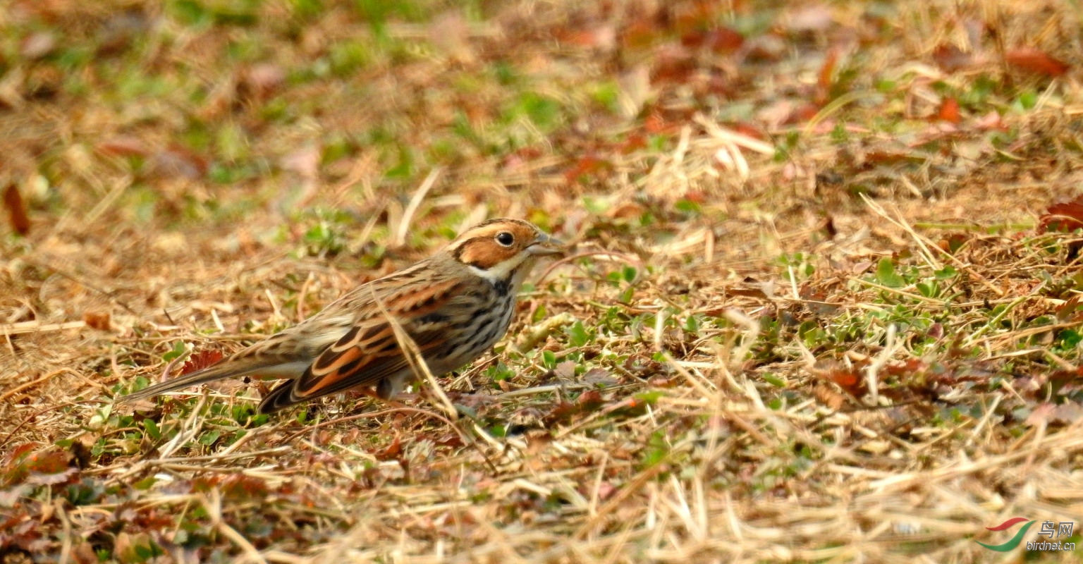 DSCN7152.JPG