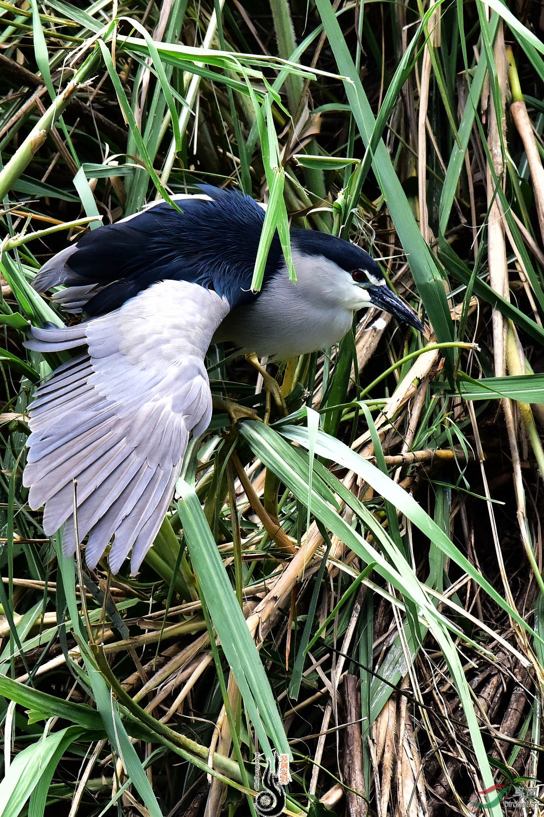 DSC_3894.JPG