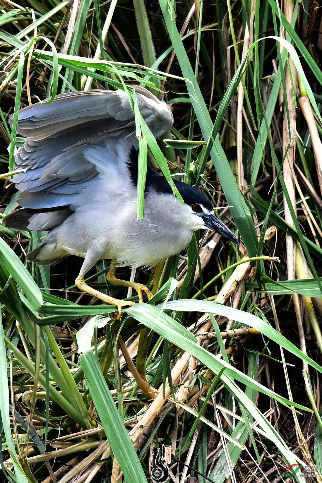 DSC_3895.JPG