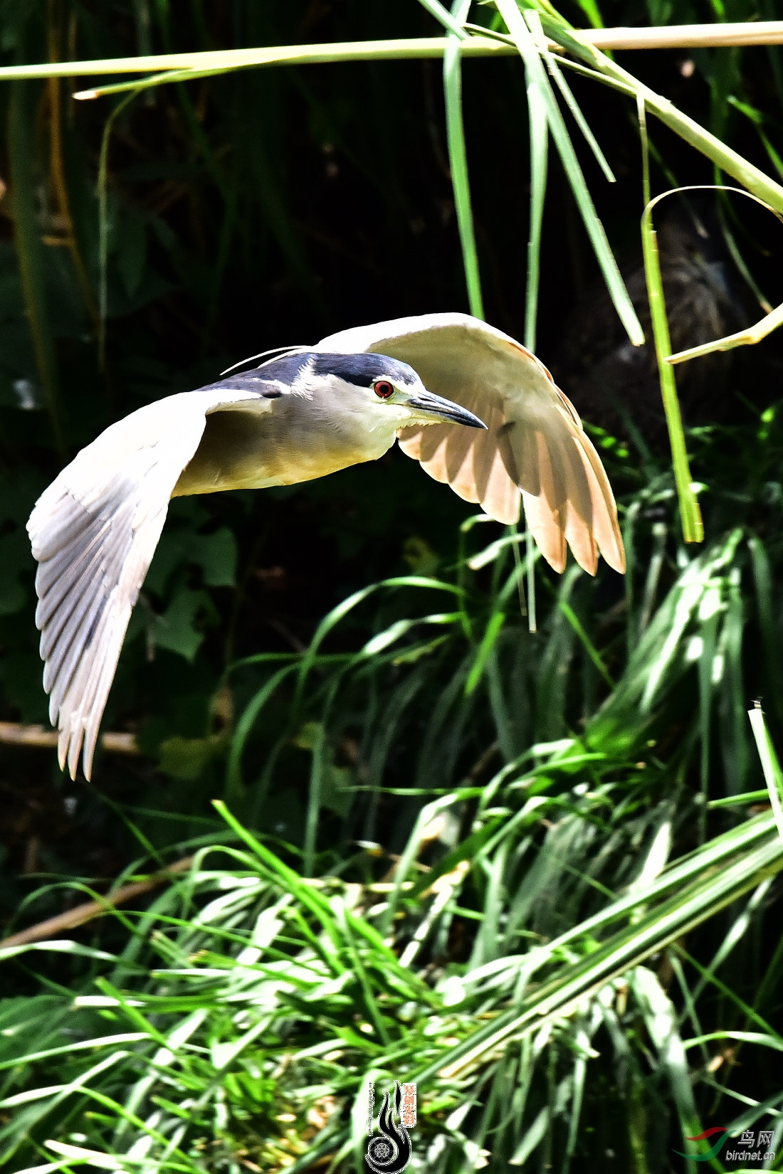 DSC_3908.JPG