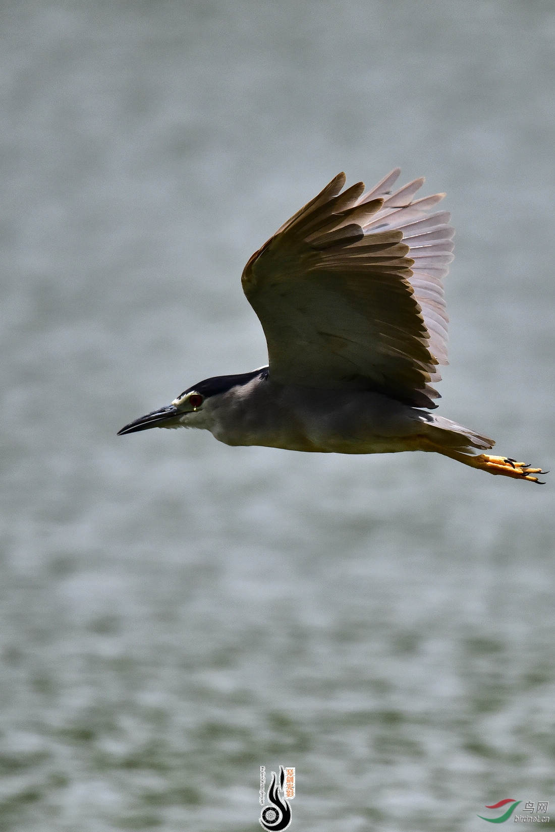 DSC_3921.JPG