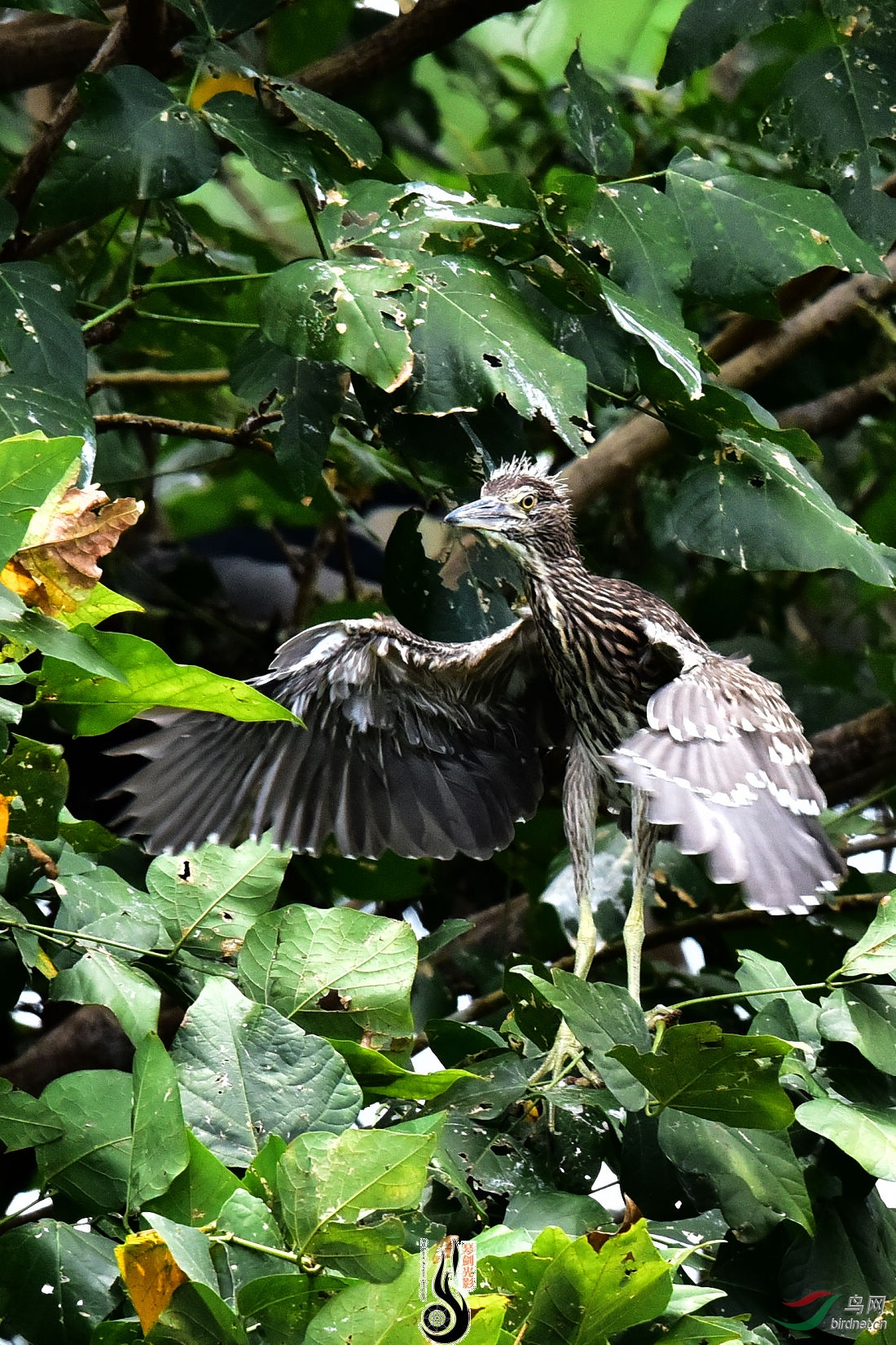 DSC_3931.JPG