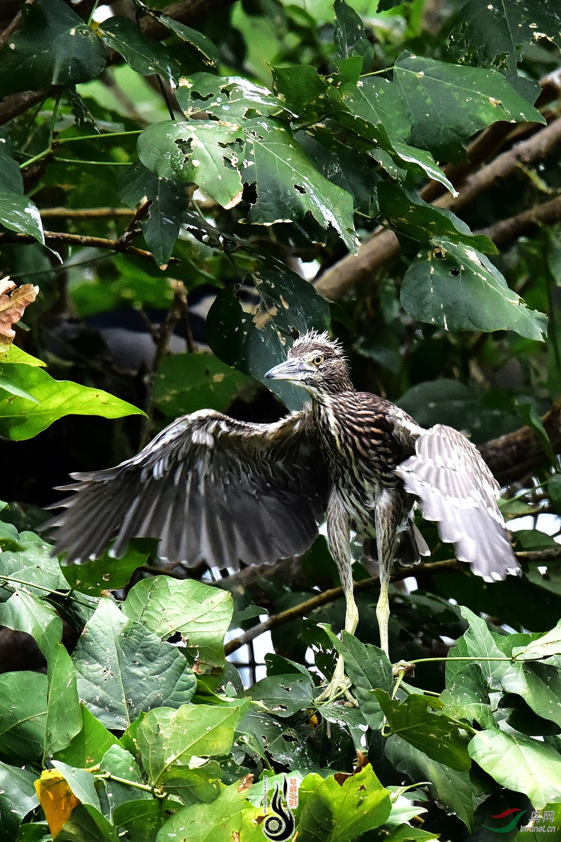 DSC_3932.JPG