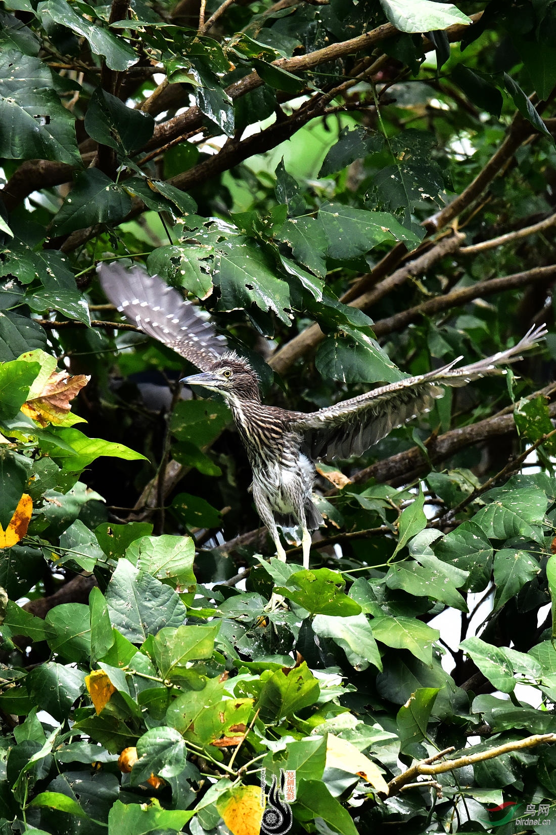 DSC_3935.JPG