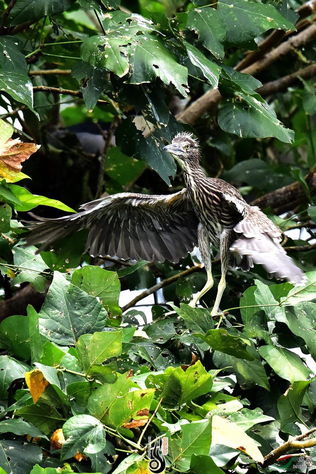DSC_3938.JPG