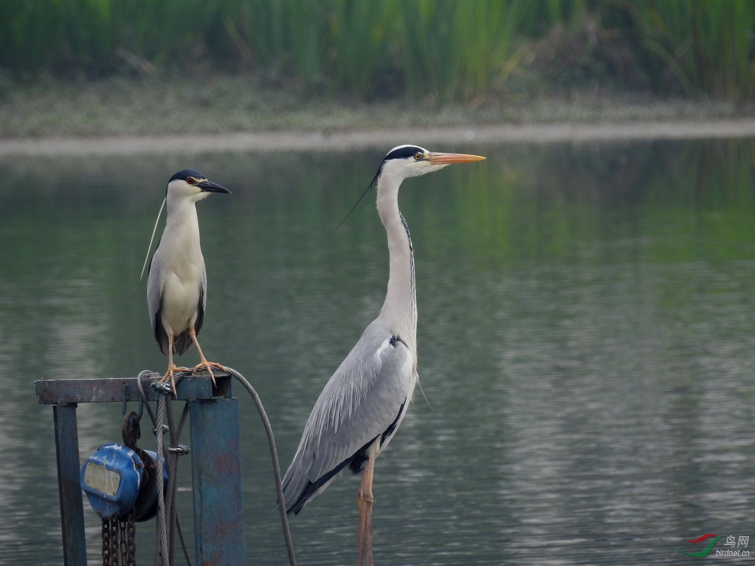 DSCN7705.JPG