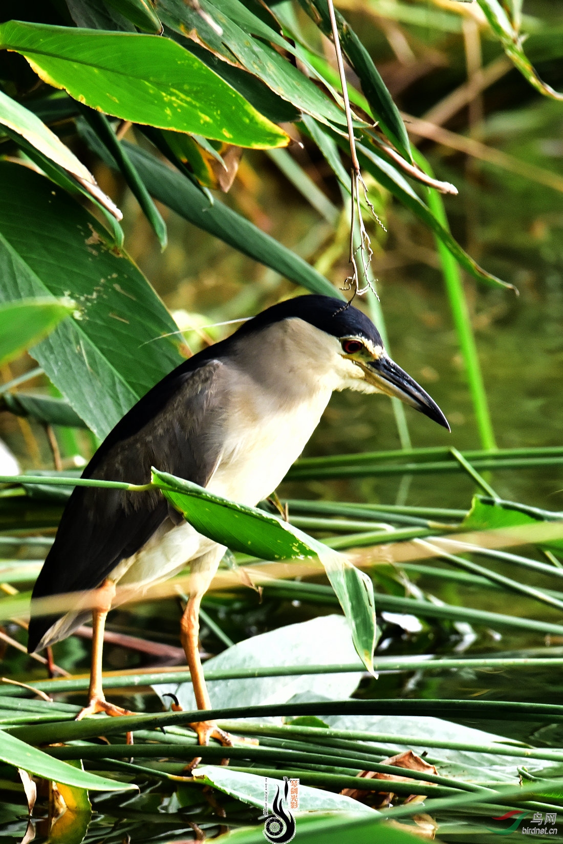 DSC_3975.JPG