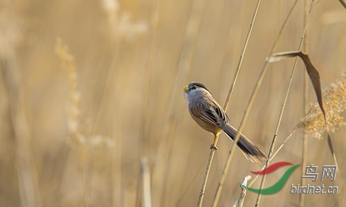 AM3T1326.jpg