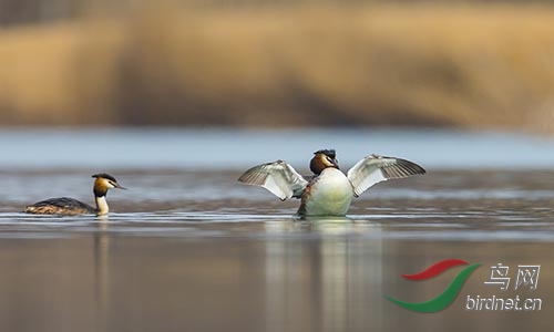 ET2W0357.jpg