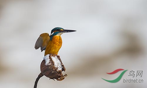 ET2W0882.jpg