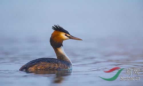 AM3T4189.jpg~s.jpg
