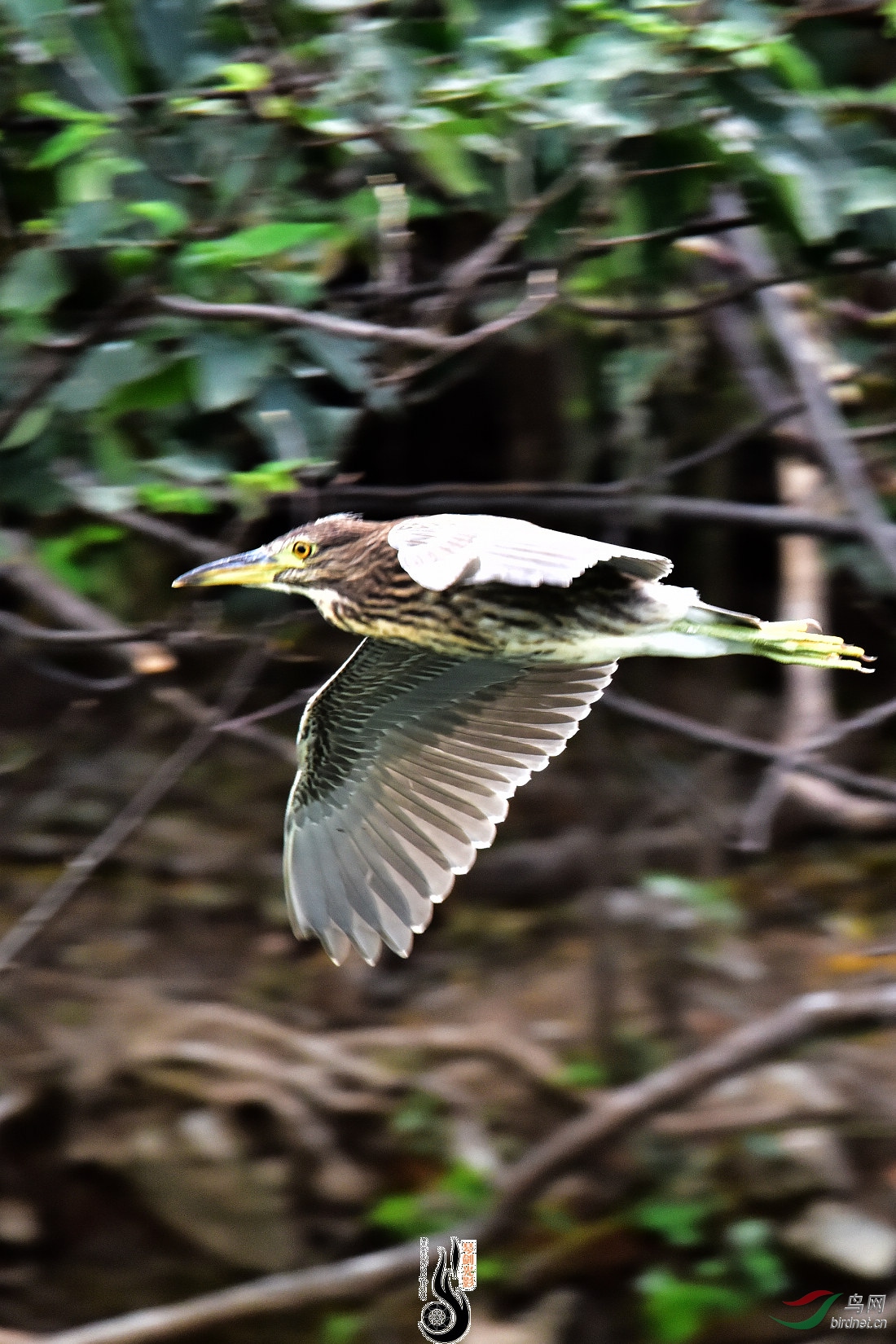 DSC_4548.JPG