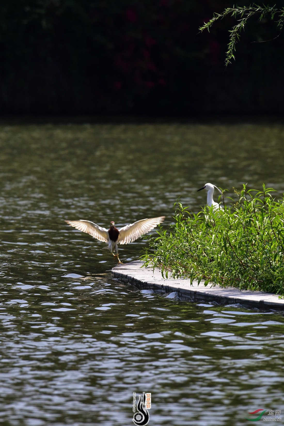 DSC_4605.JPG