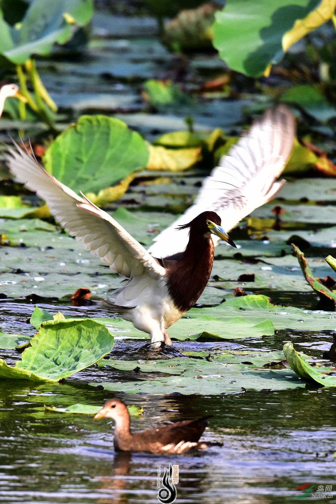 DSC_4676.JPG