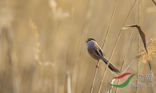 AM3T1327.jpg
