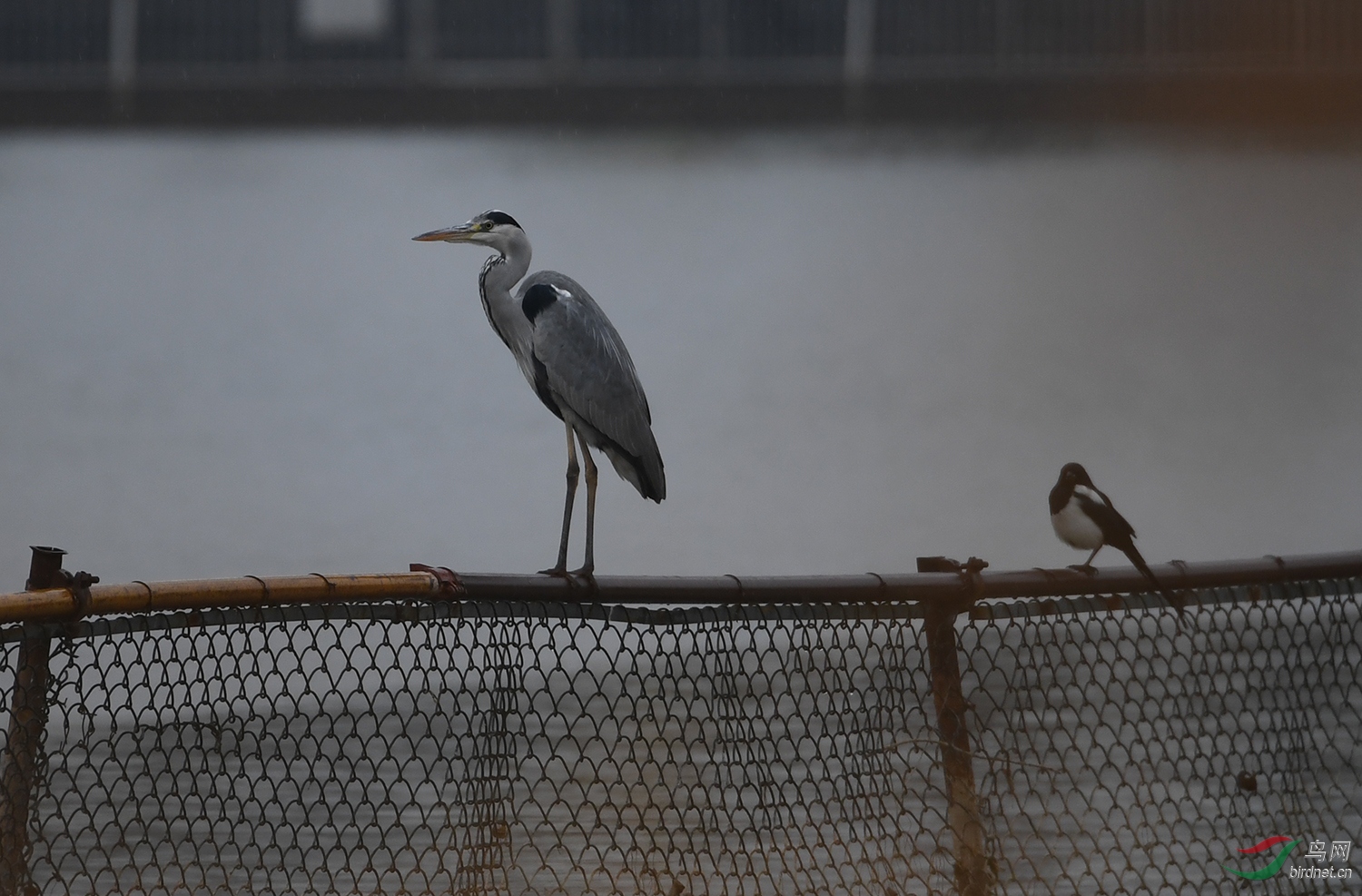 DSC_0788.jpg