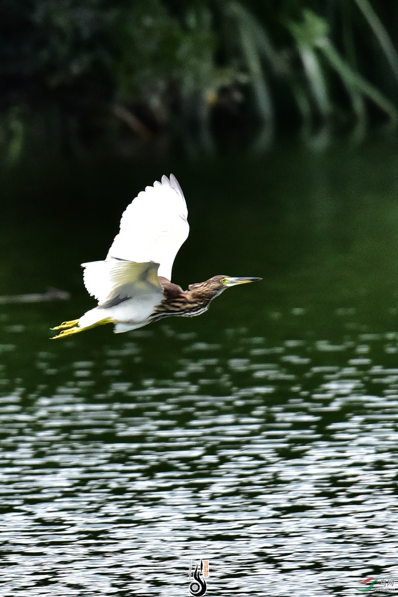 DSC_4831.JPG