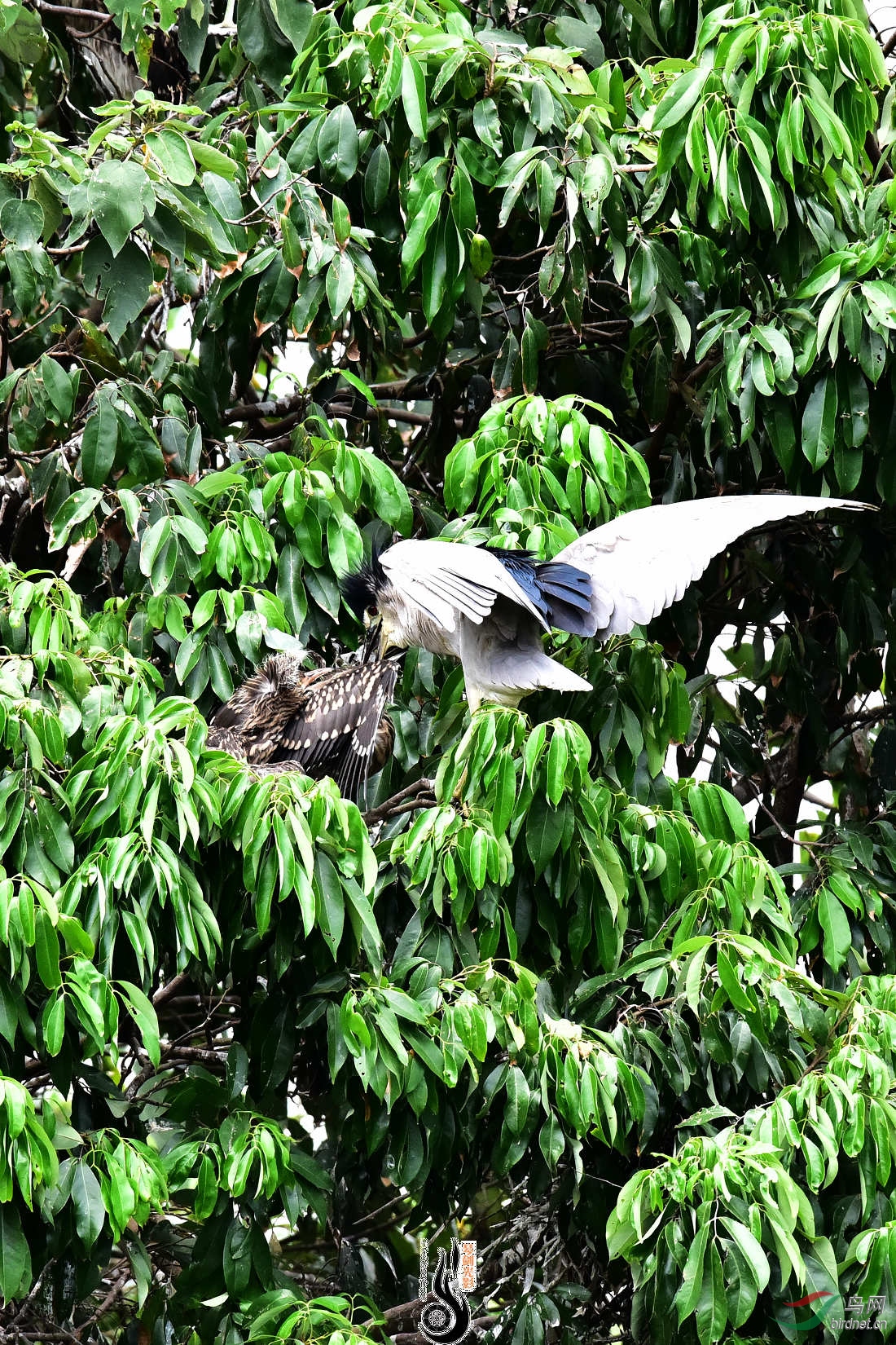 DSC_4835.JPG