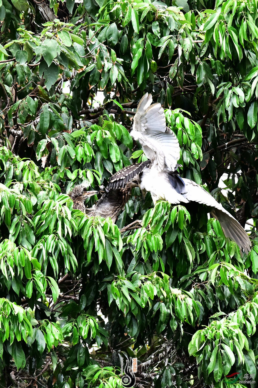 DSC_4838.JPG