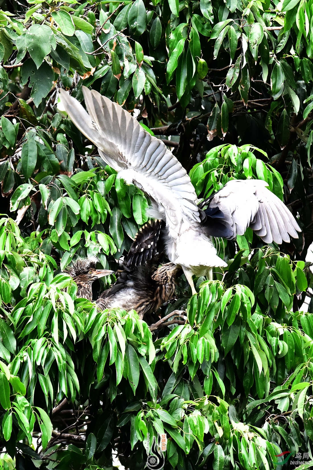 DSC_4839.JPG