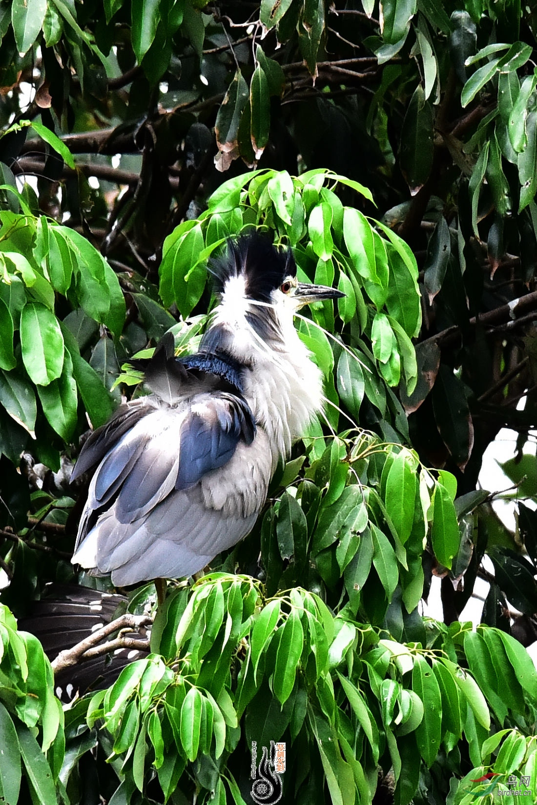 DSC_4845.JPG