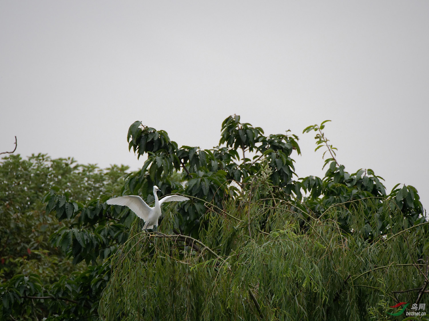 PB040957_DxO.jpg