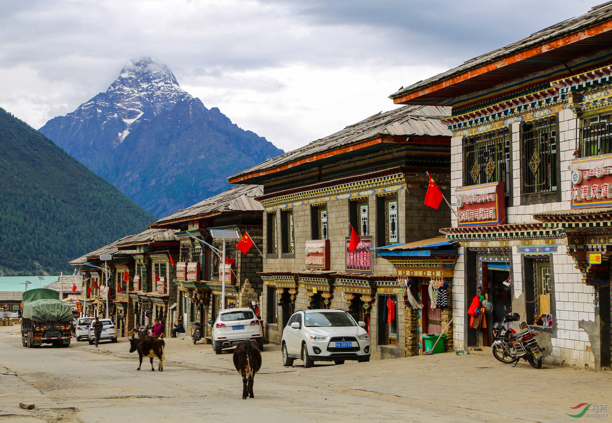西藏雪山下的结巴村.