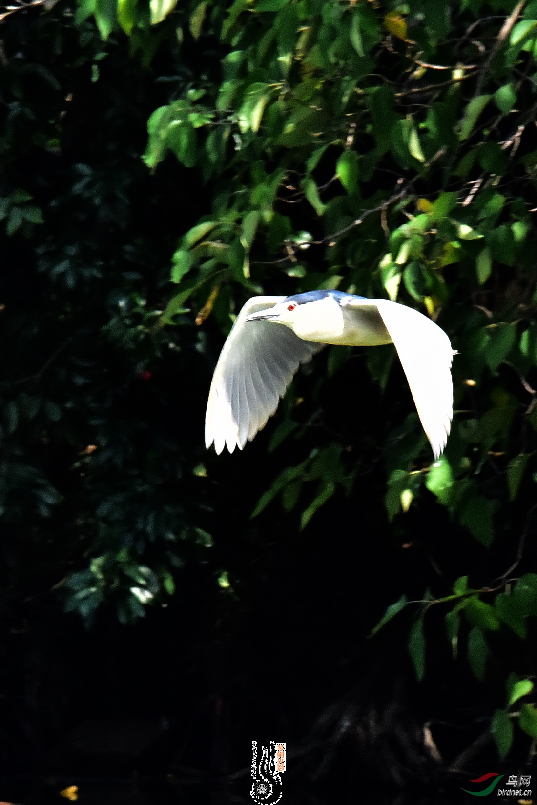 DSC_5050.JPG