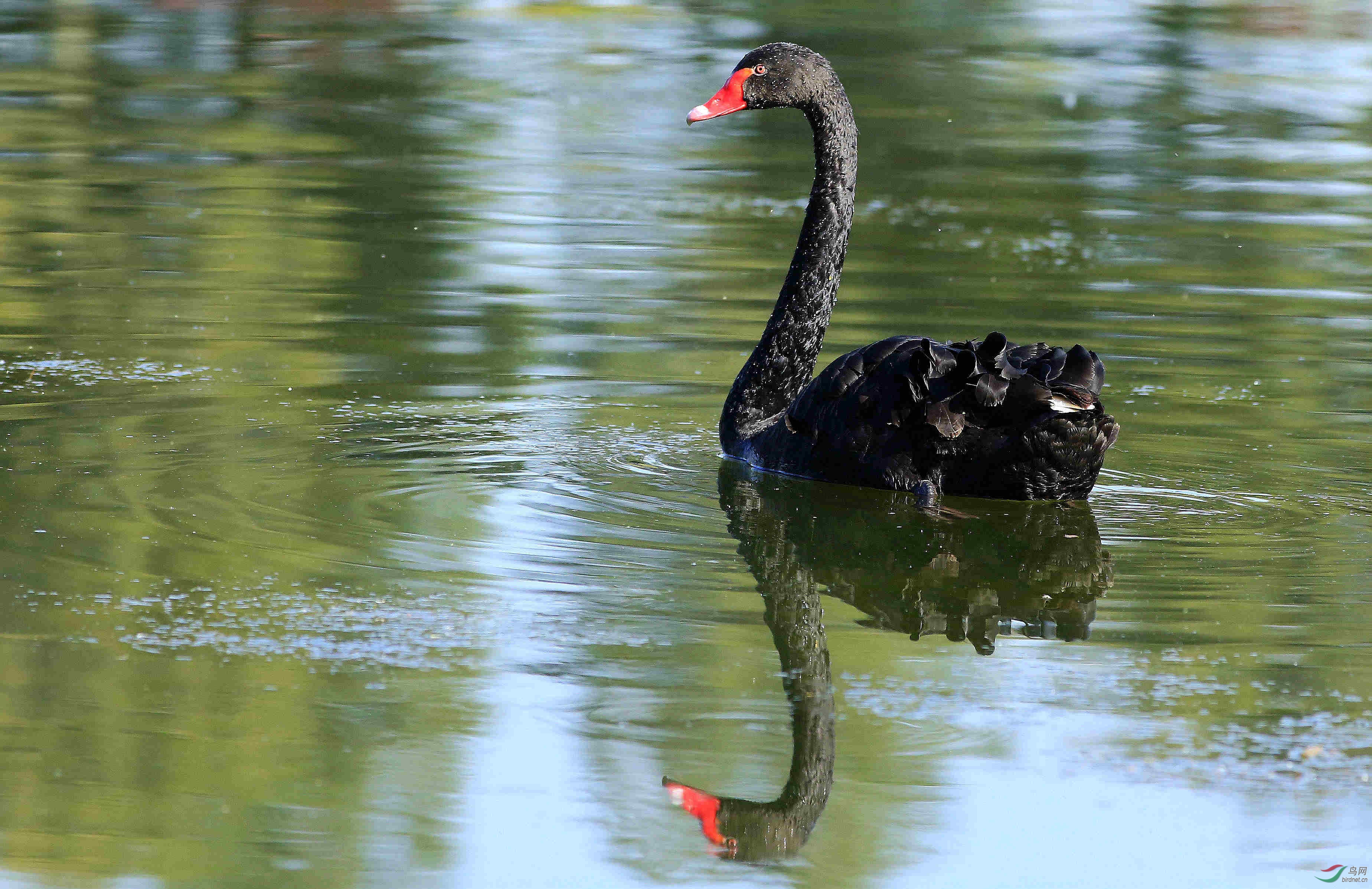 对称美