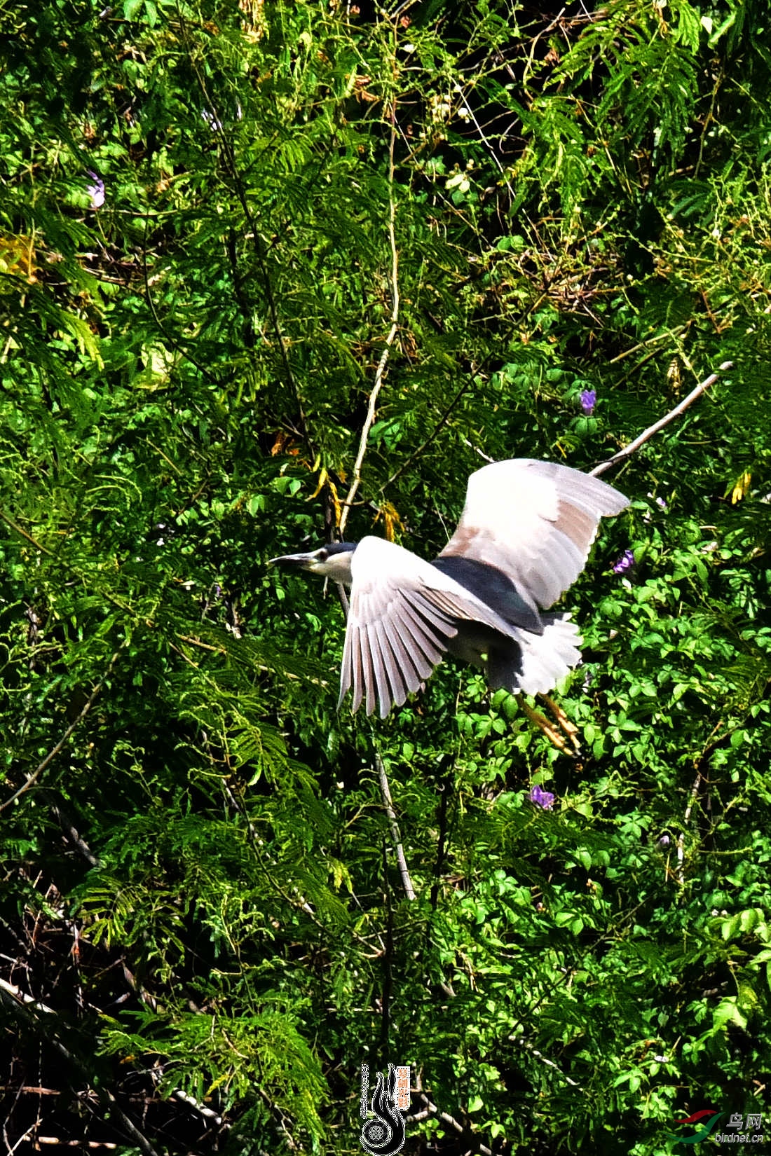 DSC_5065.JPG