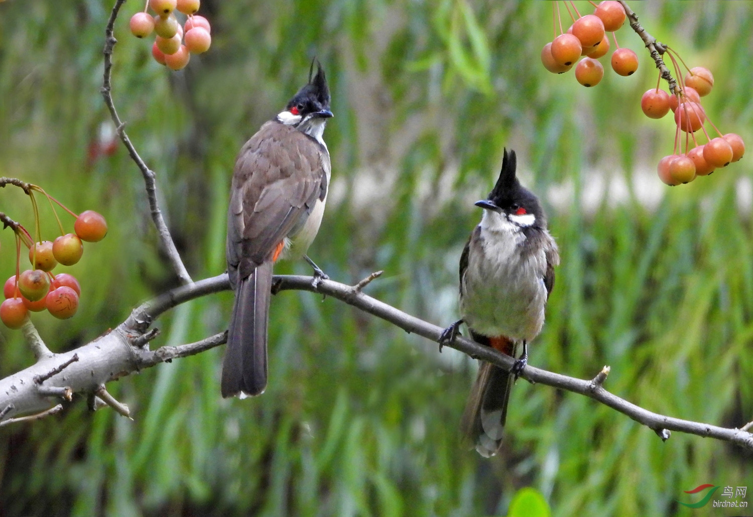 DSCN4805 ����2.jpg