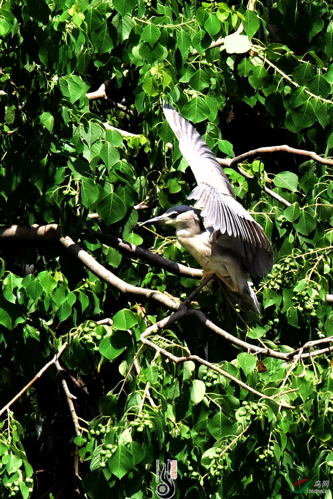DSC_5068.JPG