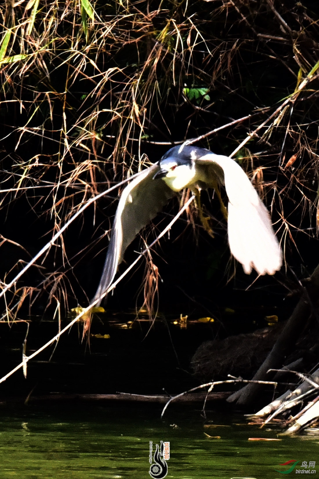 DSC_5073.JPG