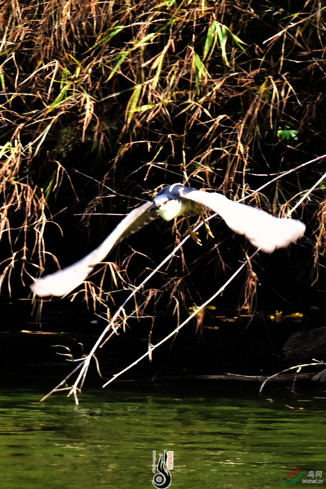 DSC_5074.JPG