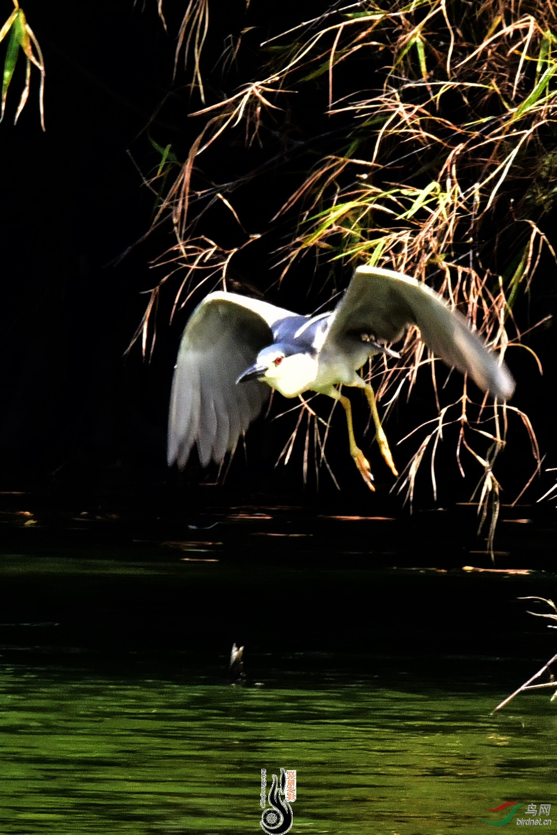 DSC_5075.JPG