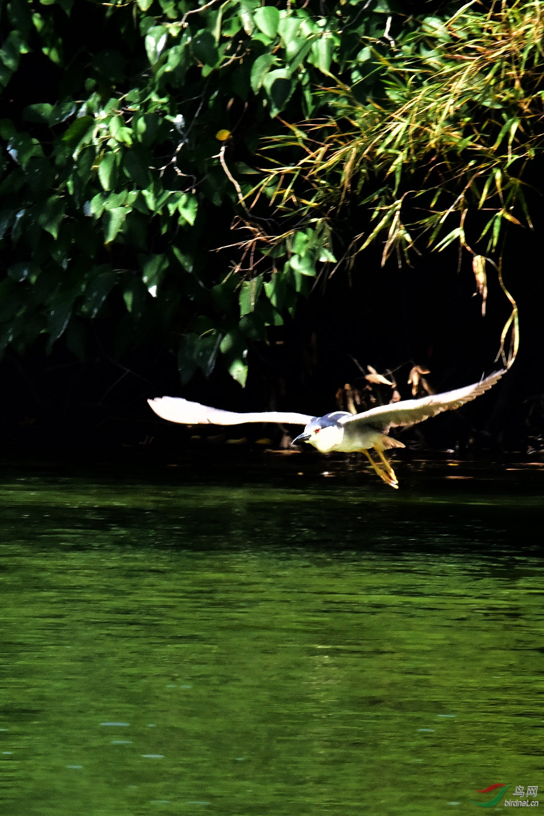 DSC_5076.JPG