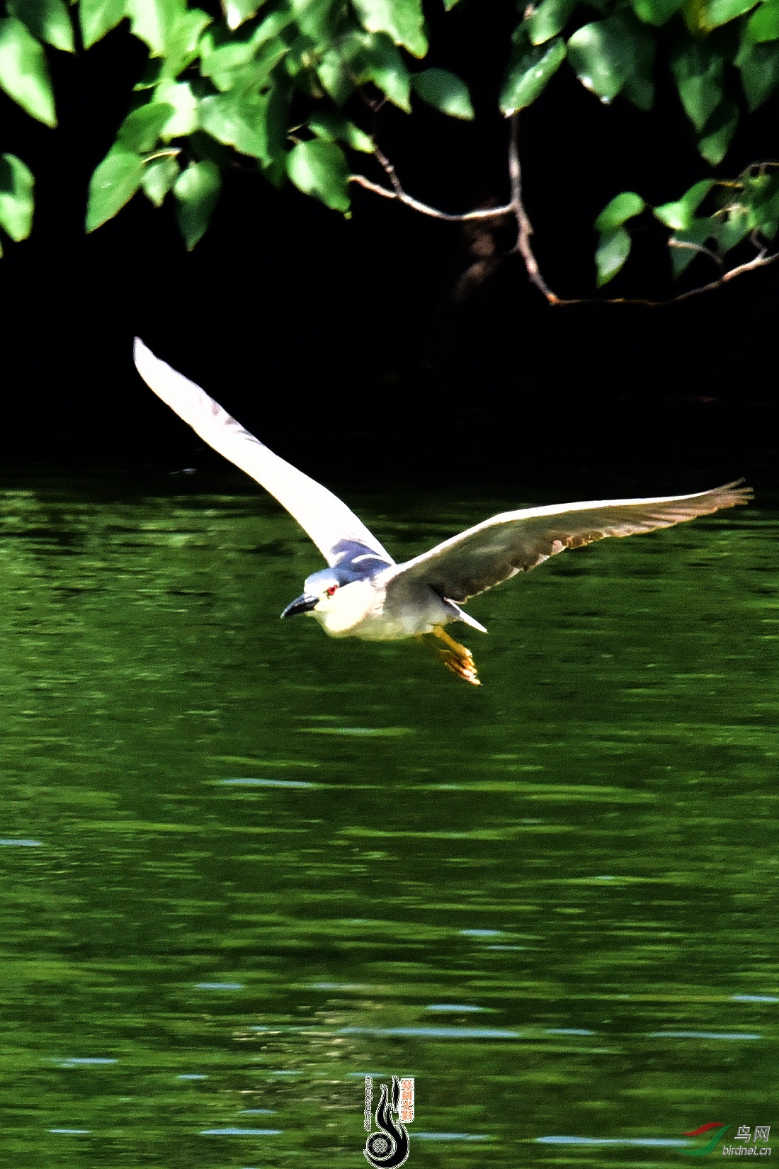 DSC_5080.JPG