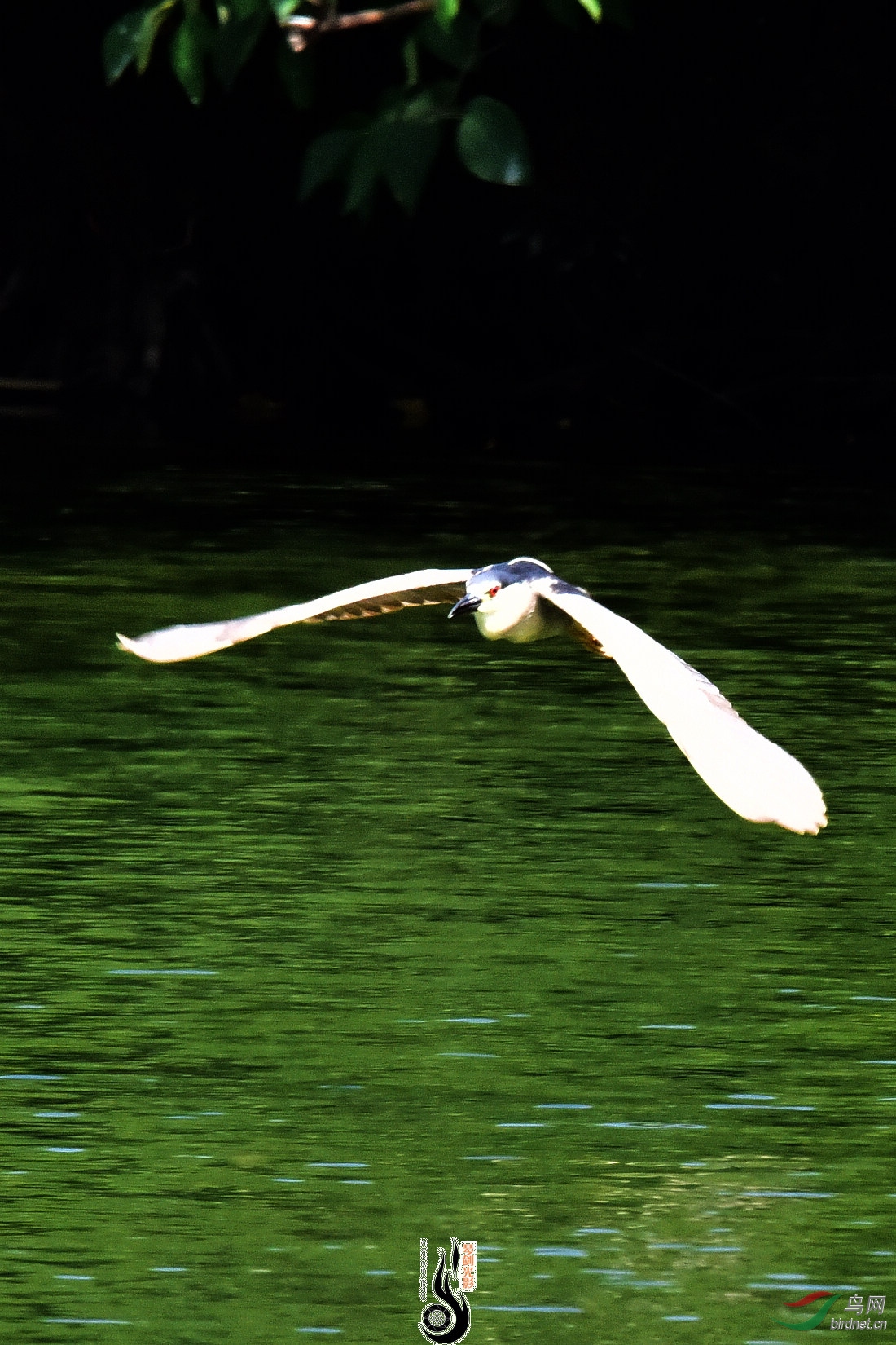 DSC_5083.JPG