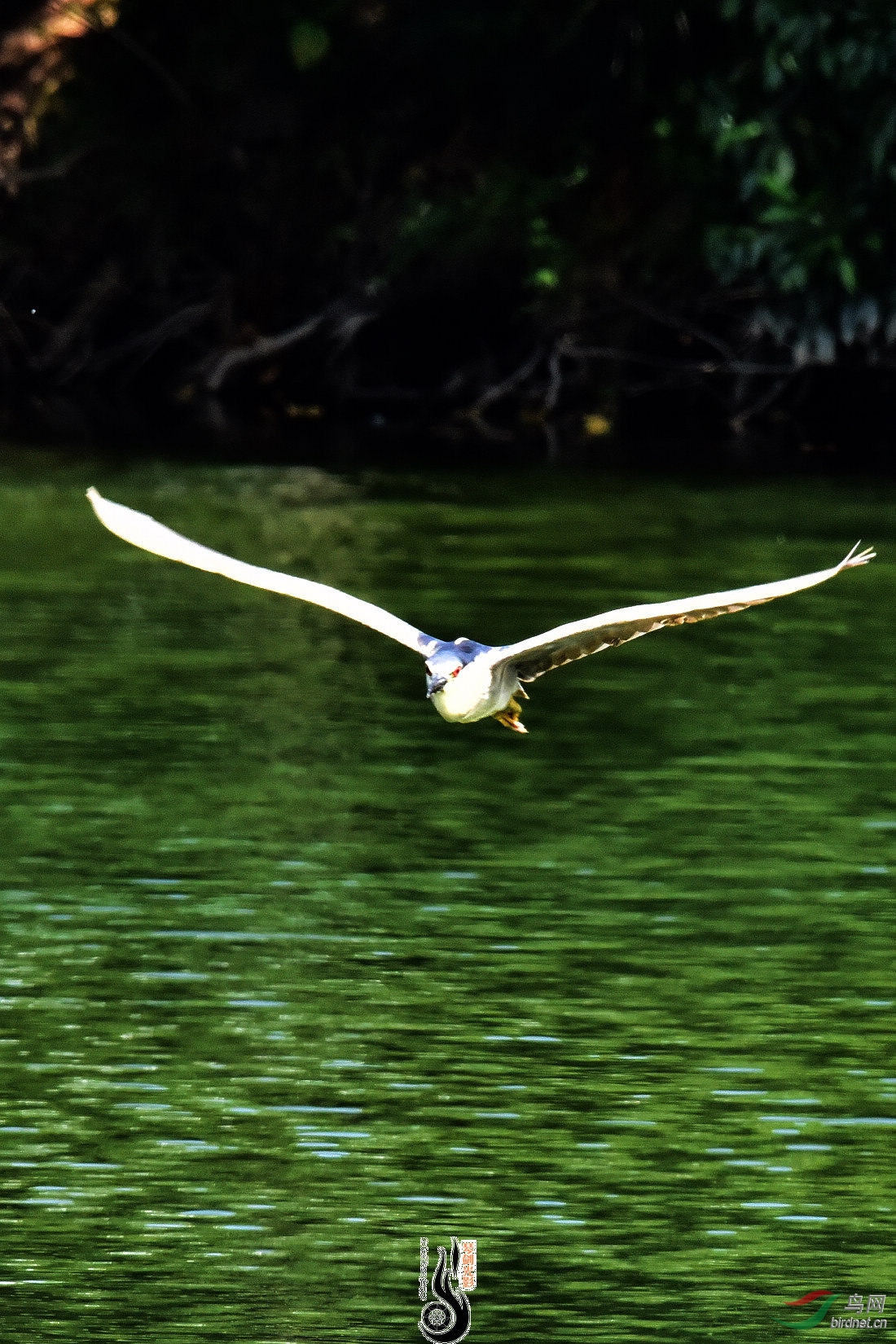 DSC_5092.JPG
