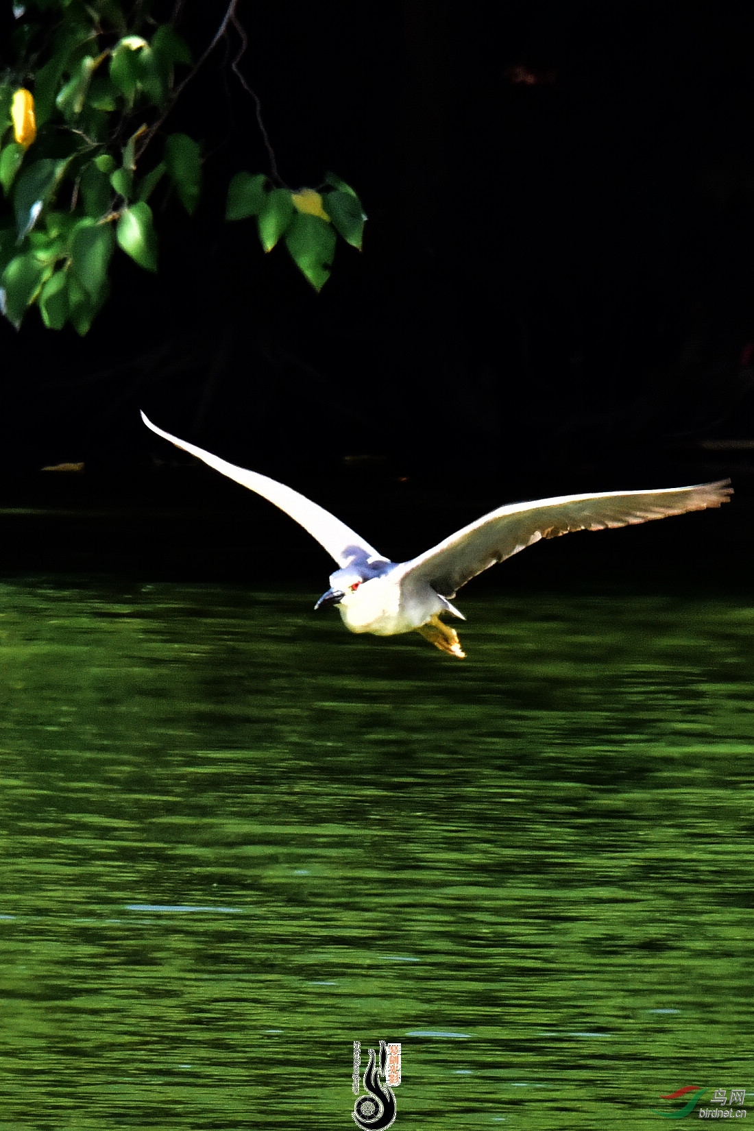 DSC_5085.JPG