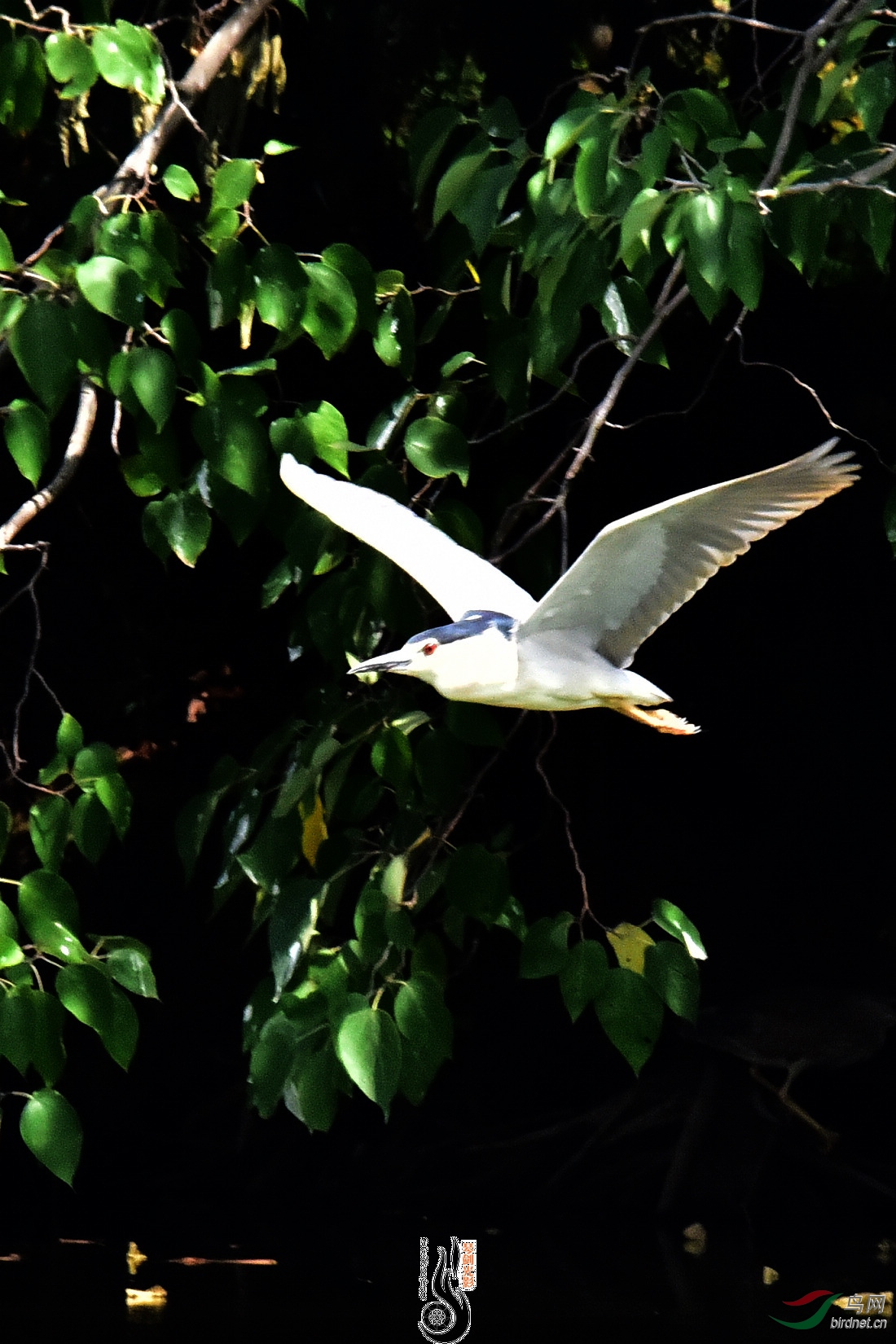 DSC_5049.JPG