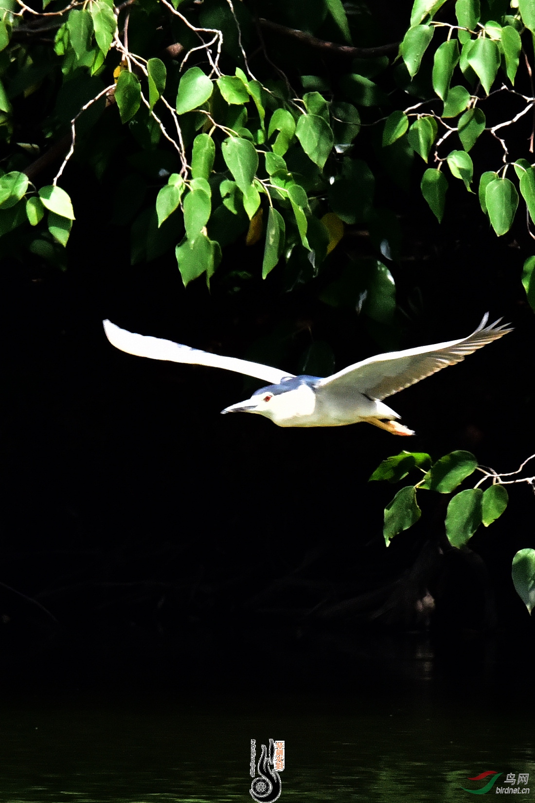 DSC_5048.JPG