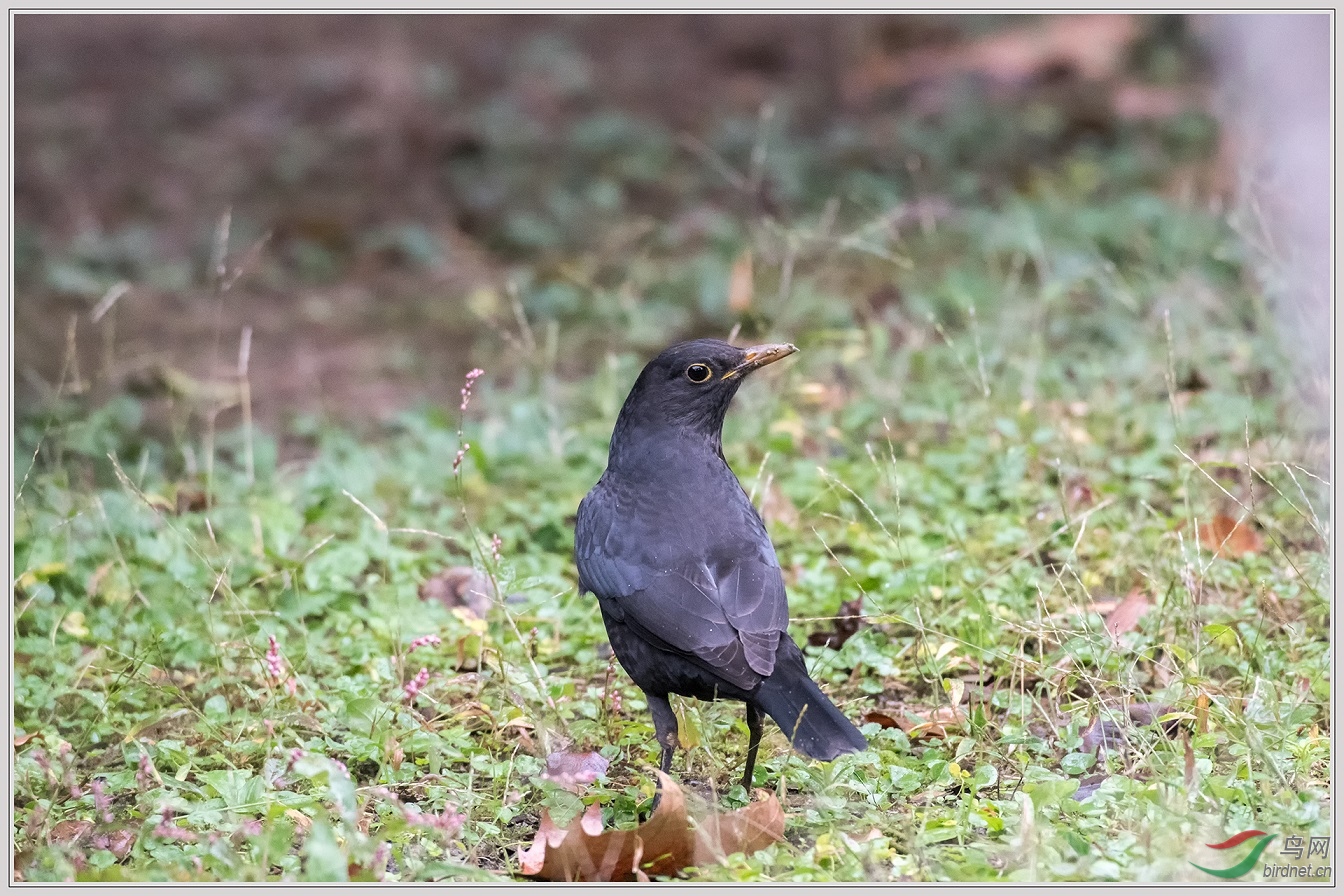 5������δ����