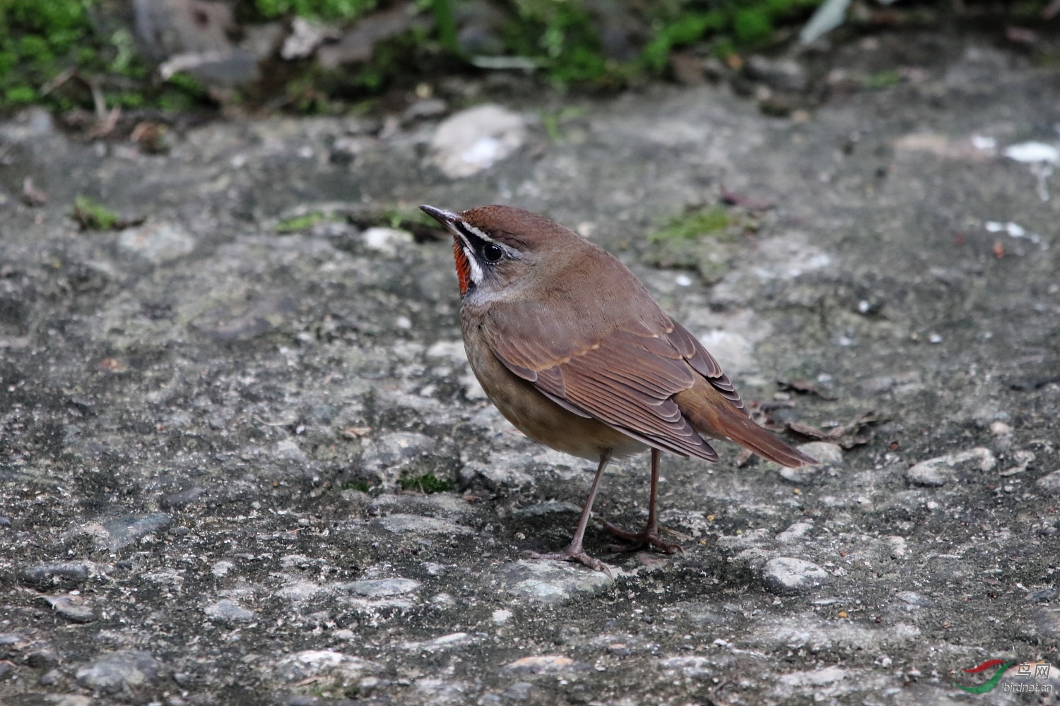IMG_6666.JPG