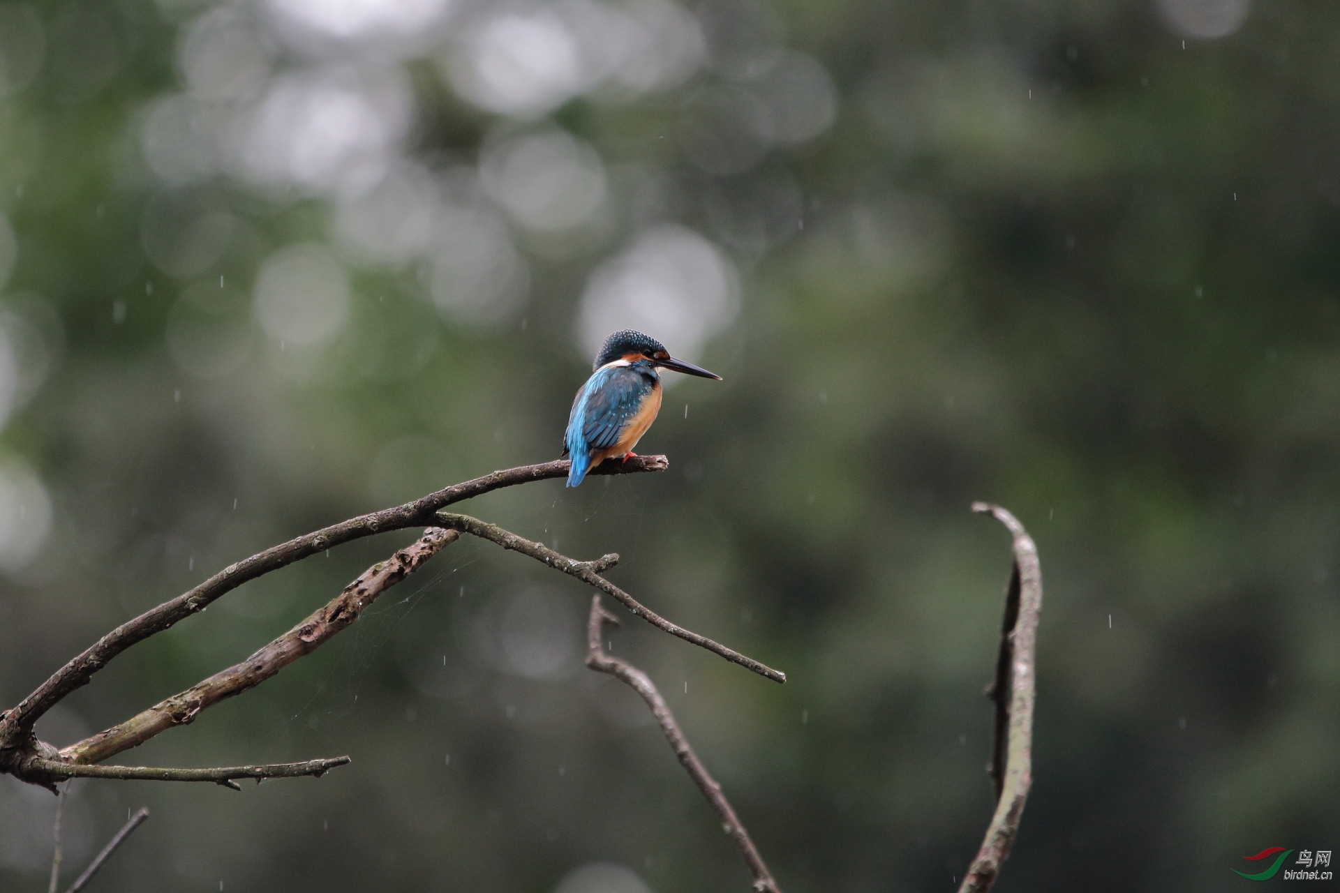 IMG_5272.JPG