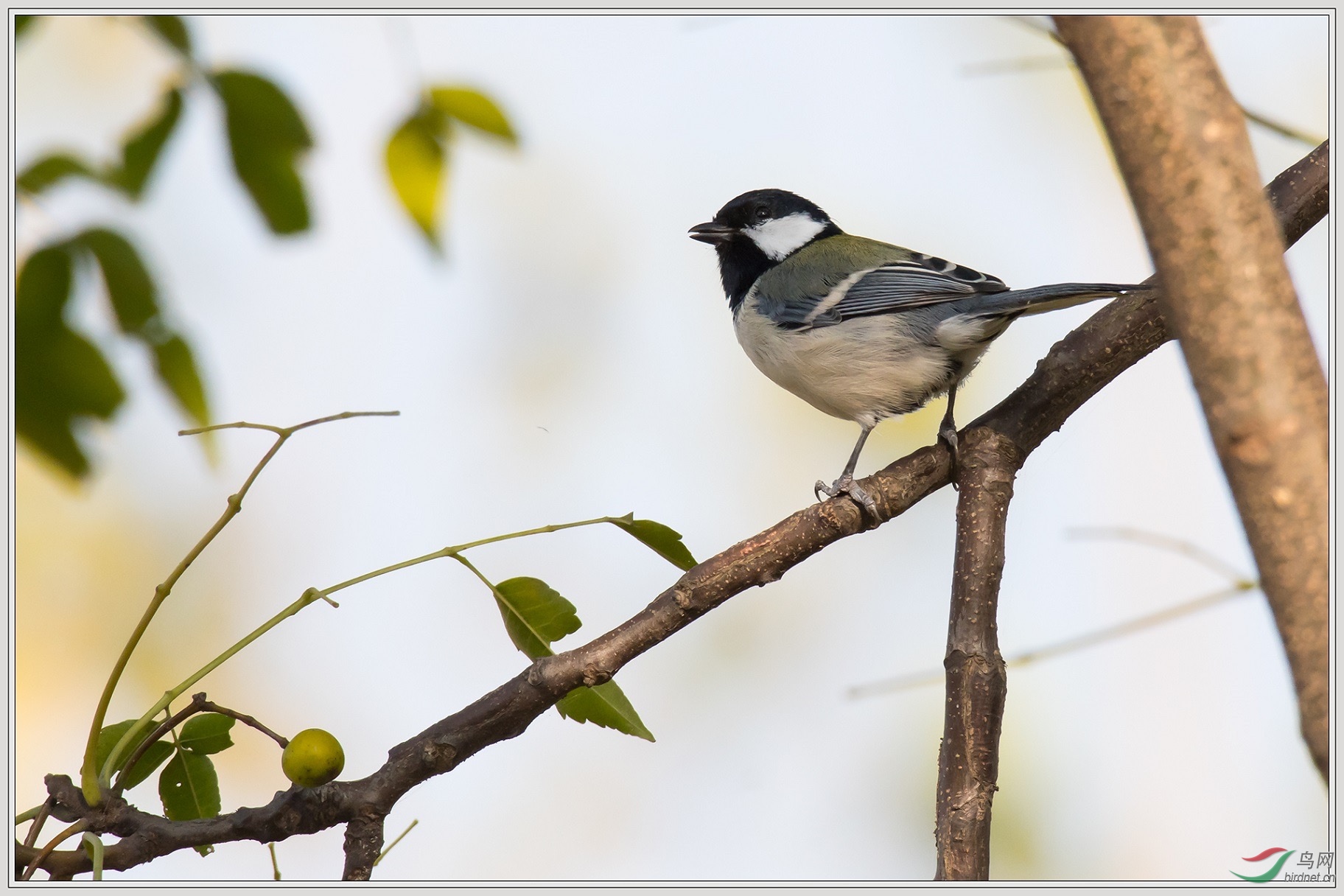 12���в���