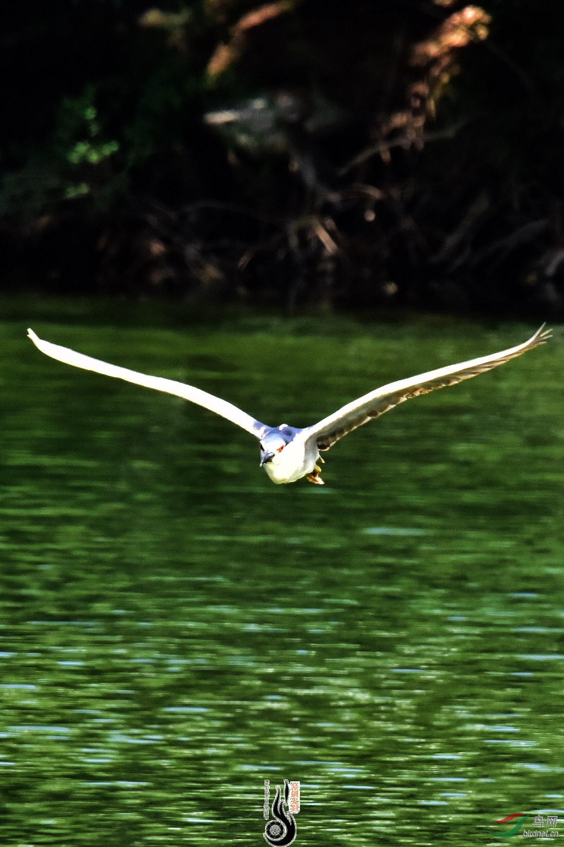 DSC_5094.JPG