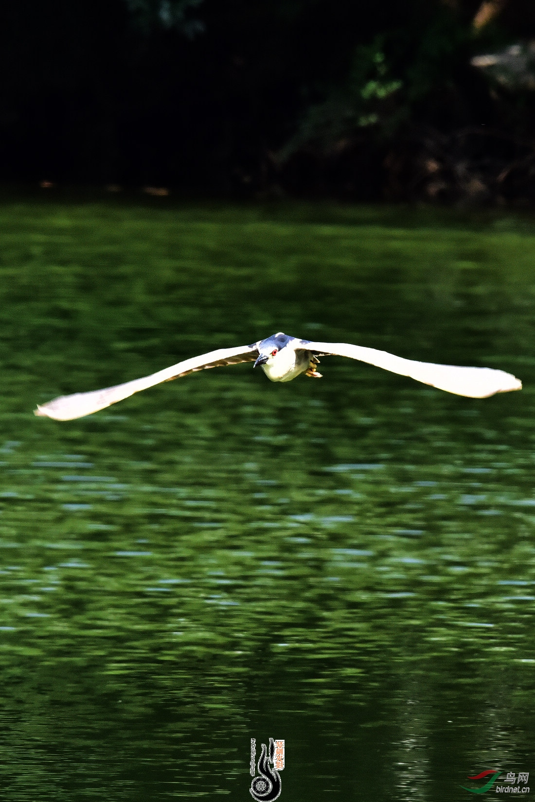 DSC_5095.JPG