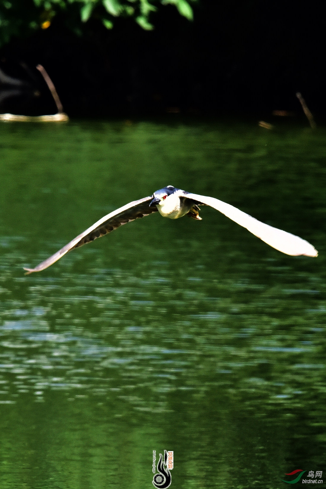 DSC_5097.JPG