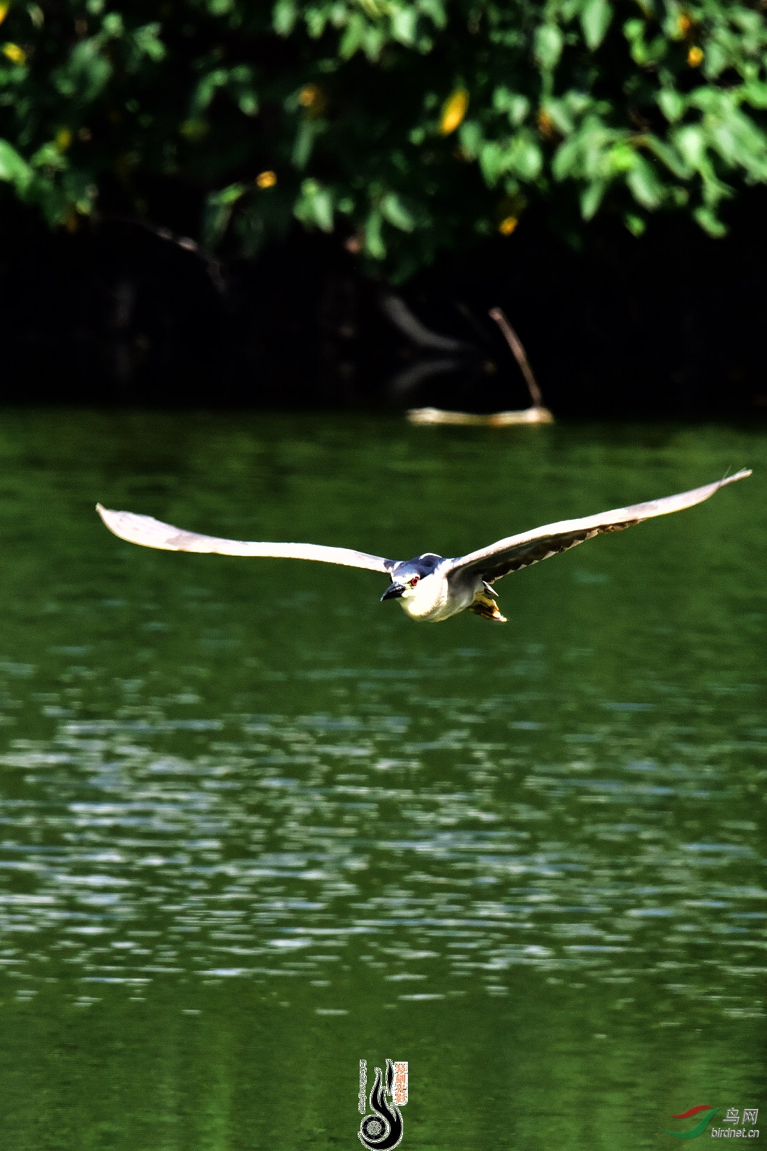 DSC_5098.JPG